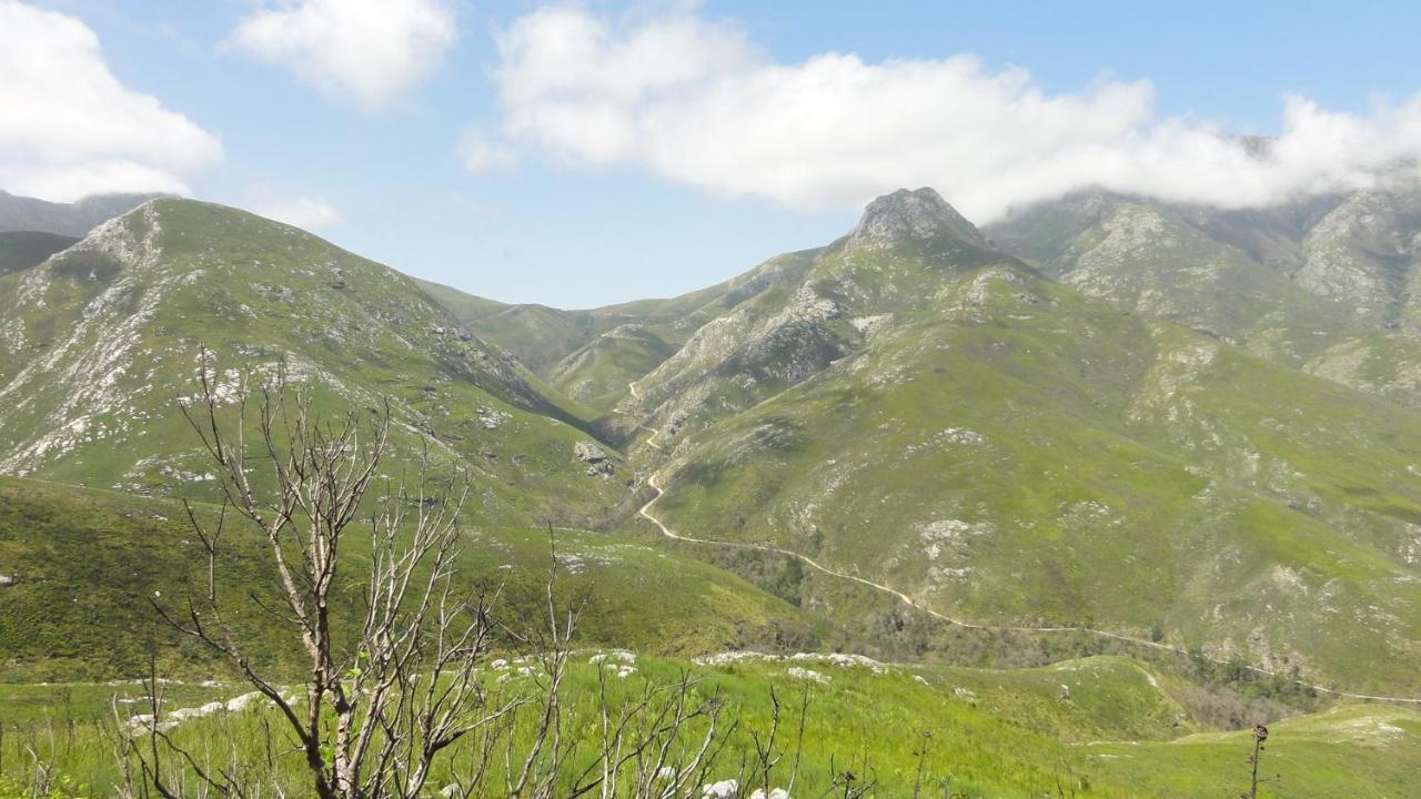 Kooboo Berry Ocean View, Self Catering Guesthouse Wildernis Exterior foto